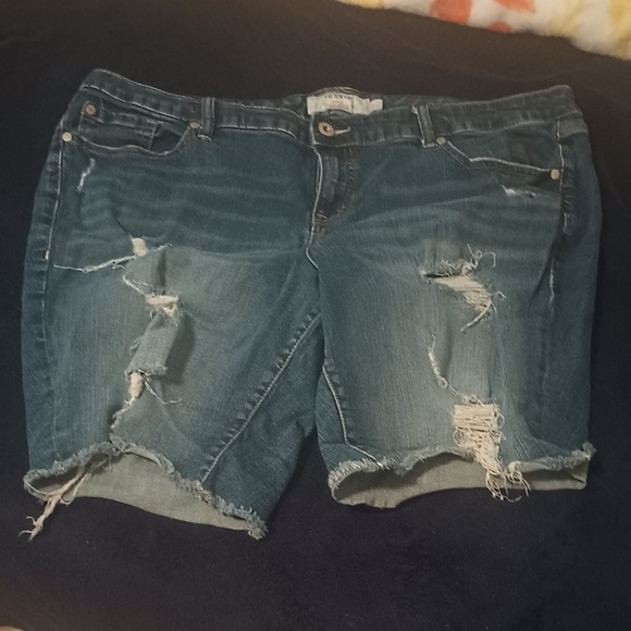 torrid Pants - Torrid Ripped Blue Jean Shorts